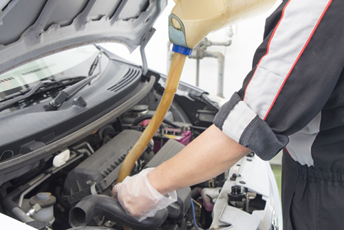 写真の説明を入れます