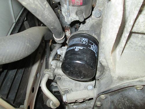 写真の説明を入れます